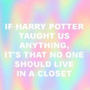 Meet your Posher, Gracie